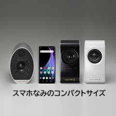 ���C�����X�E�R���p�N�g�I�[�f�B�I�@KS-33G�@�i�y�A�j