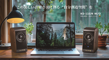 ワイヤレス・コンパクトオーディオ KS-11GN （L/R セット