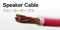 Speaker Cable